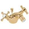 Deva Tudor Bidet Mixer With Pop Up Waste Gold -Sagittarius Taps shop deva tud114 501